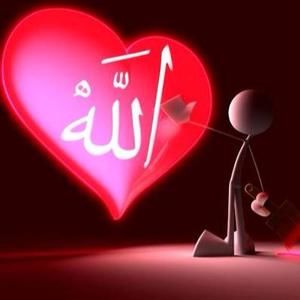 Meet your Posher, Amel